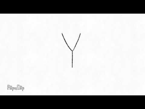 Y
