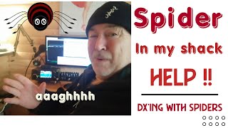 TAPPY'S SPIDER