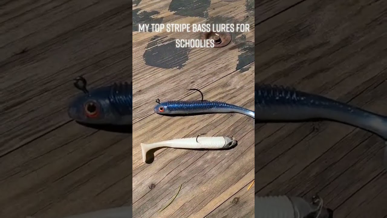 Few Choice Lures For Early Spring Striped Bass Fishing 