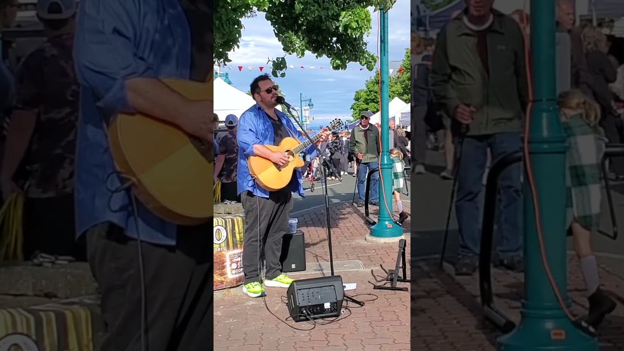 🎶 "You can call old Willie Nelson, bring the velvet underground!" 😎