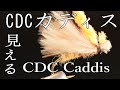 CDCカディス　Cdc Caddis FlyTying フライタイイング