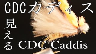 CDCカディス　Cdc Caddis FlyTying フライタイイング