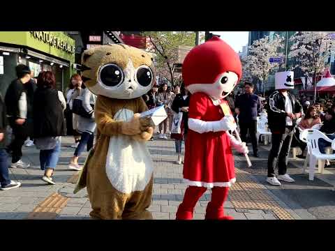 JHKTV] shinchon special mask <strong>cat</strong> <strong>play</strong> with new friend신촌명물고양이 새친구와 연주하다