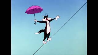 Two Cats Tryna Be Clever