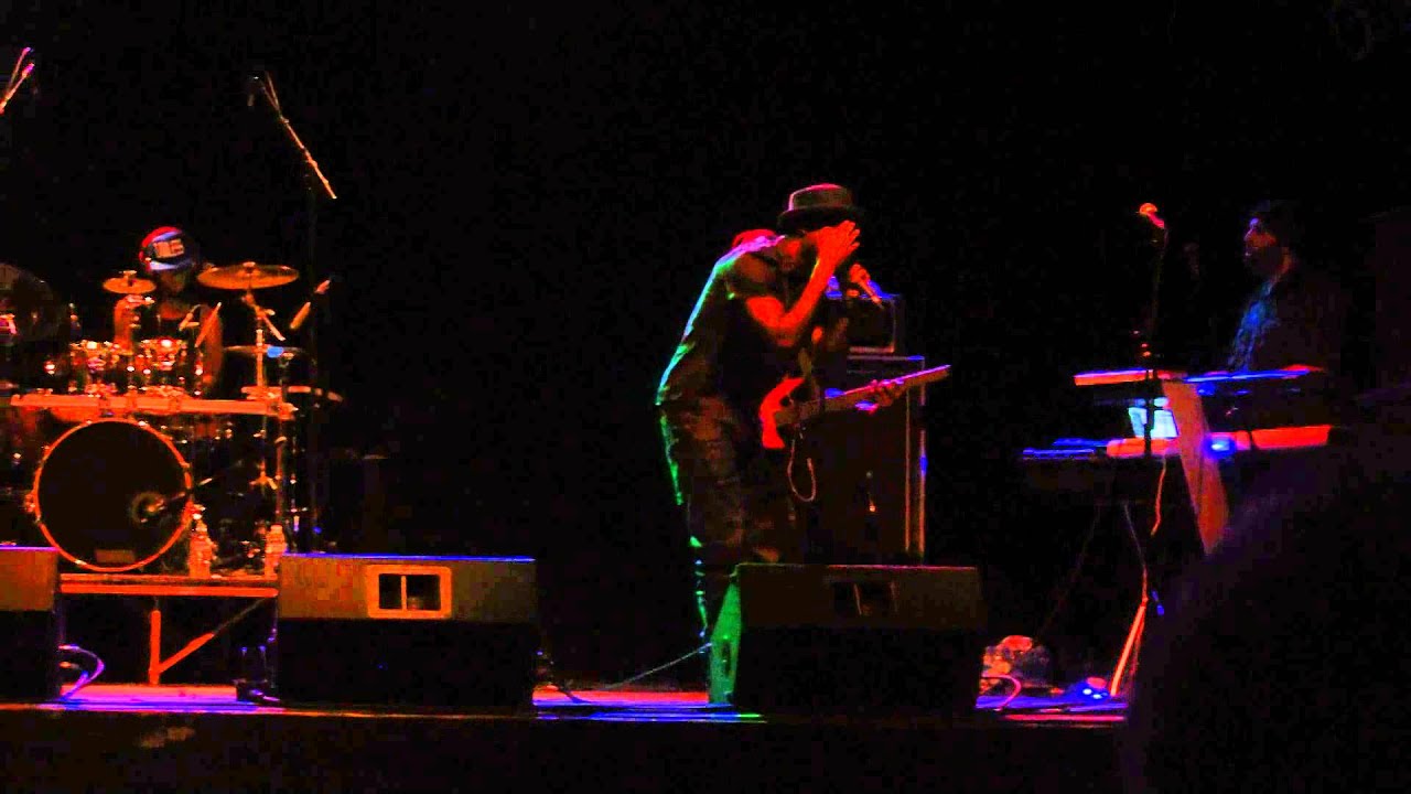 Christopher Ellis - Willow Tree