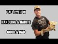 Maximizing Enjoyment of Keeping a Ball Python: Essential Handling Tips and Habits