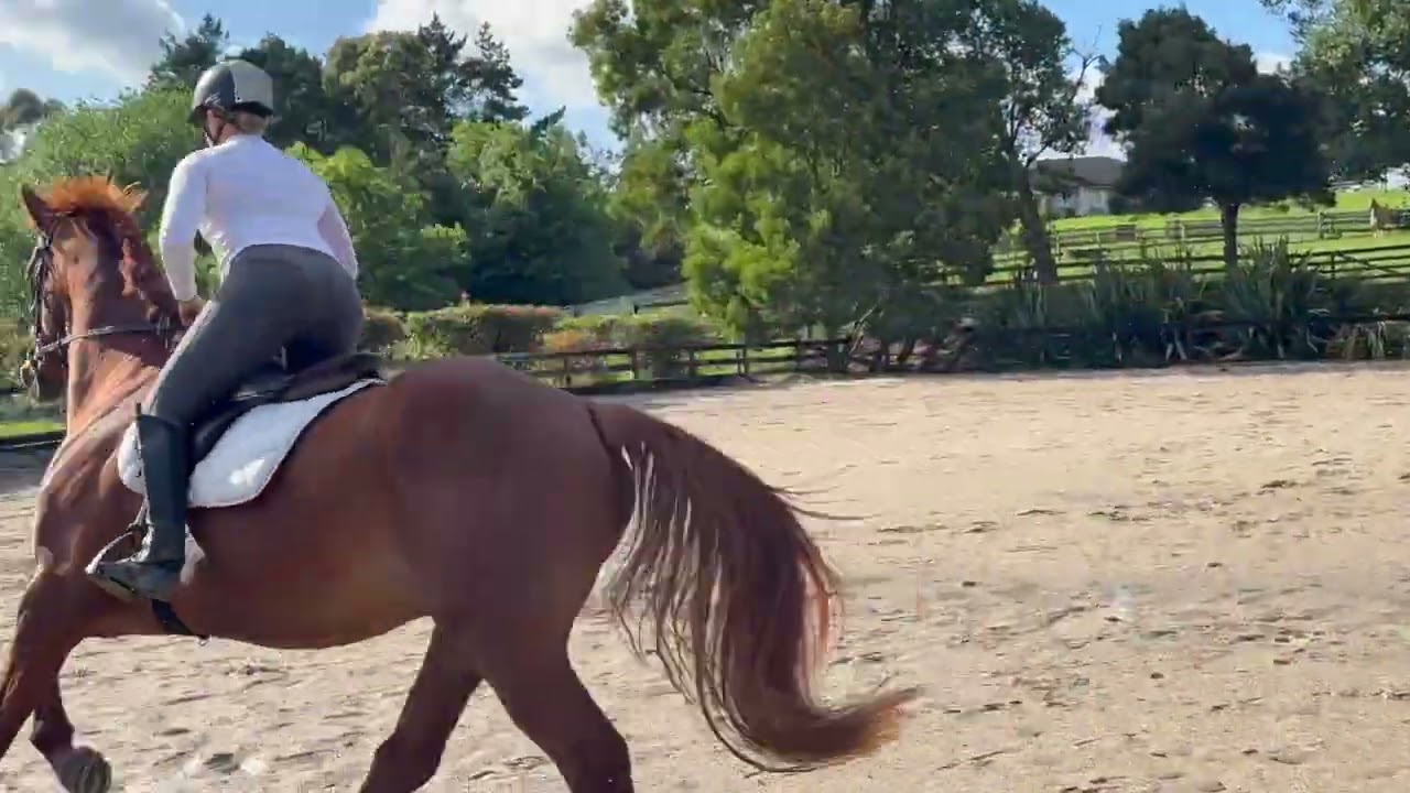 Abe jump school Dec 25