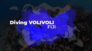 Diving Volivoli Fiji