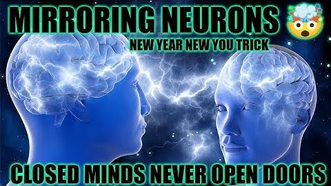 Mirror Neurons: Tools of a Mystic. A Christ, A Buddha Consciousness.