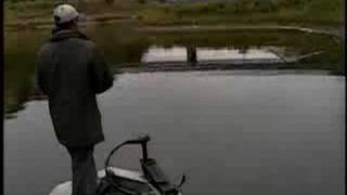 The secret to Buzzbait fishing, tips & tricks by central coast bass