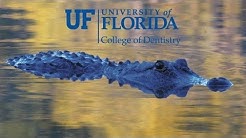 University of Florida College of Dentistry Virtual Tour 