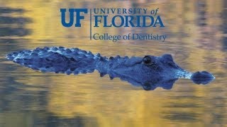University of Florida College of Dentistry Virtual Tour