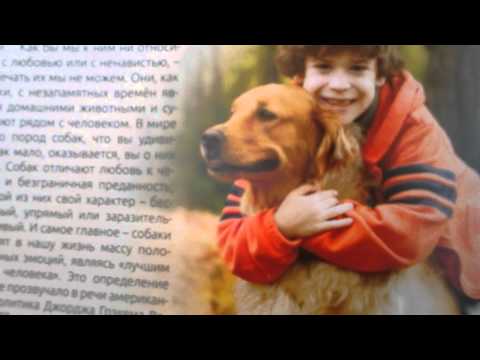 Энциклопедия о собаках!