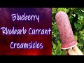 Blueberry Currant Rhubarb Creamsicles