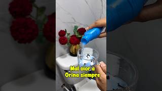 Mal olor a orina siempre