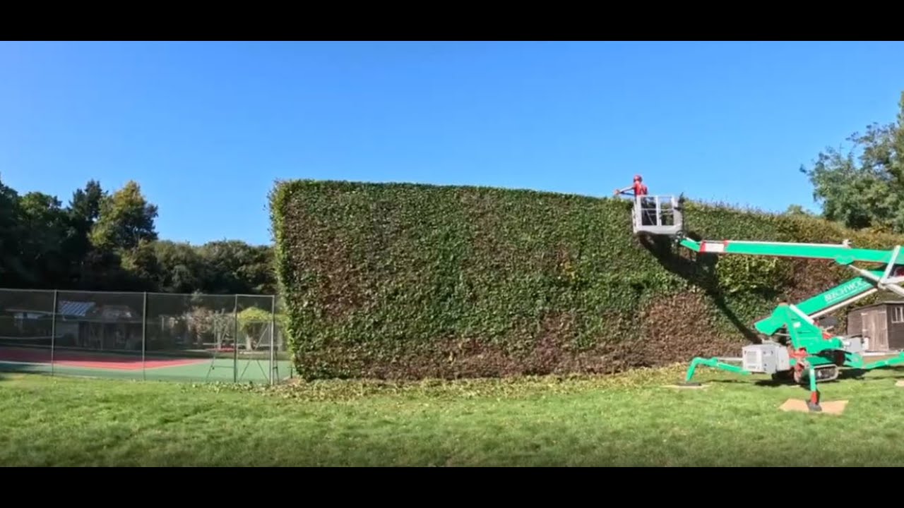 Huge Hedge Trimming Project with 4 Teams On Site - YouTube