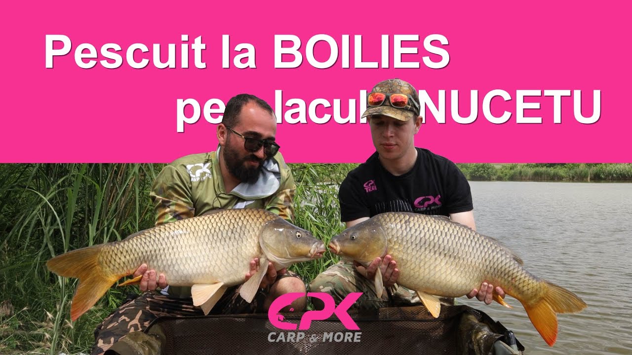 Pescuit la boilies pe lacul Nucetu !