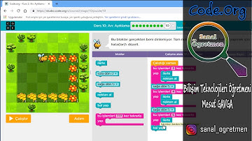 (Code.Org) Kurs: 2 Ders: 10 Arı: Ayıklama