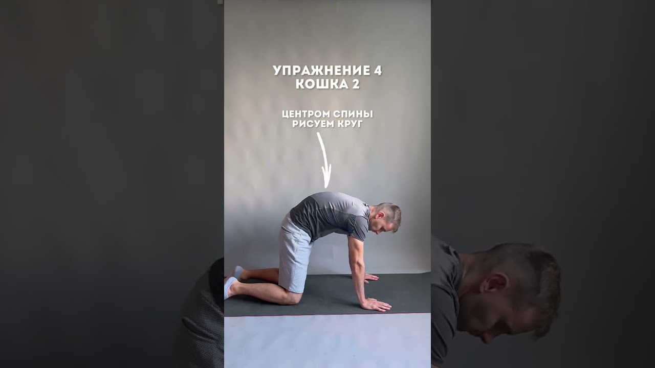 Упражнение на всю спину! Кошка