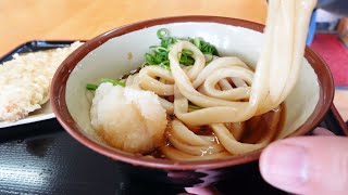 【早く来ないと売り切れ!!極太剛麺の讃岐うどん!!】1日に限られた玉数で営業する讃岐うどんの名店【手打ちうどんますや】【香川県のおすすめ讃岐うどん】