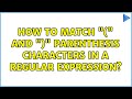 How to match "(" and ")" parenthesis characters in a regular expression?