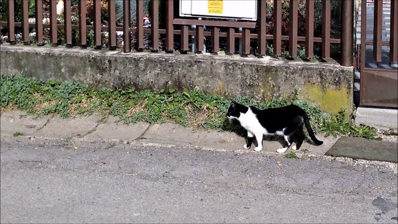 Kúpele Lúčky, iný pohľad. Spa Lúčky. Another view.