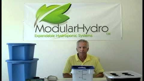 Deep Water Culture (DWC) Hydroponics System Explained