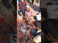 #fishcuttingskill #fishcutting #fishpreparation #fishmarket #fishcut #fish #takifish