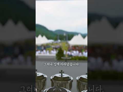 영상썸네일