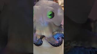 Aurora Octopalis short #resinart #octopus