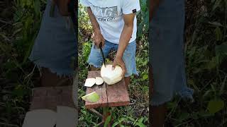 Satisfying cut fresh coconut