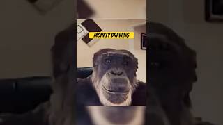 Monkey Reacts To This Drawing