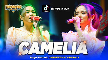 CAMELIA - Tasya Rosmala - OM NIRWANA COMEBACK Live Demak Jawa Tengah