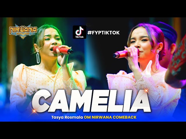 CAMELIA - Tasya Rosmala - OM NIRWANA COMEBACK Live Demak Jawa Tengah class=