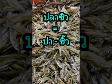 ปลากระดี่ = ปา-กะ-เดิด