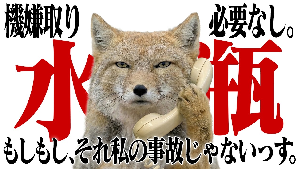 【水瓶座】外野のイライラなんて「知らんがな」で大丈夫です。あなたの貴重なエネルギーを1ミリも奪わせないための業務連絡。