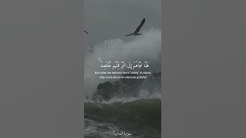 ألم تر أن الفلك تجري في البحر بنعمة الله ليريكم من آياته - الآية ٣١-٣٢ سورة لقمان /القارئ اسلام صبحي