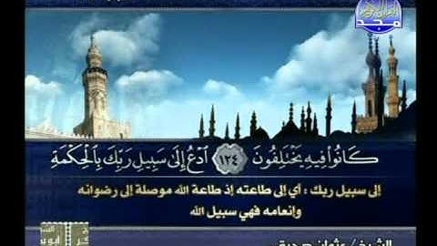 ما تيسر من سورة النحل ــ عثمان صديقى