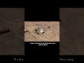 “ALIEN BENARAN ADA⁉️” #misterio #subscribe #viral #like #faktaunik #subscriber#shorts