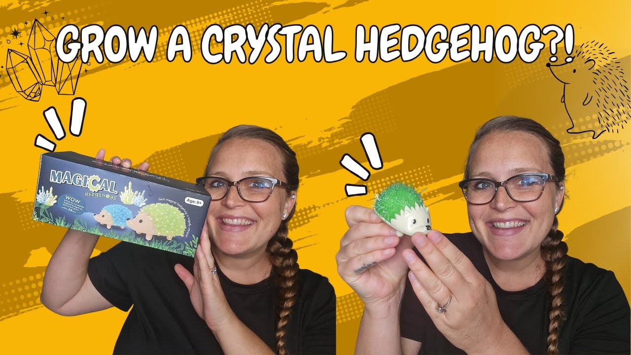 Amazing Science Kit for Kids – Real Crystal Growth!