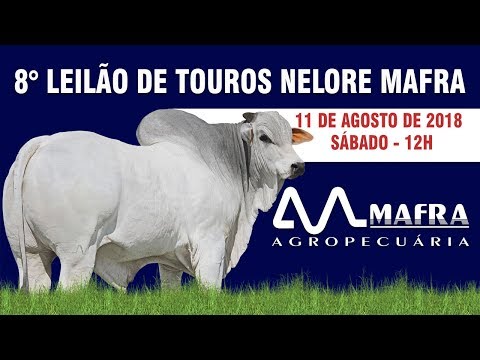 Lote 06   MFRA 3174