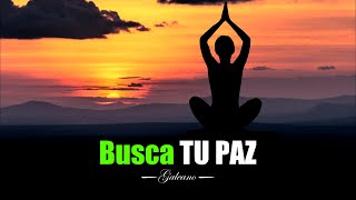 Elige Tu Paz Por Sobre Todo ¦ Gratitud, Frases, Reflexiones, Reflexión, Amor Propio, Meditación