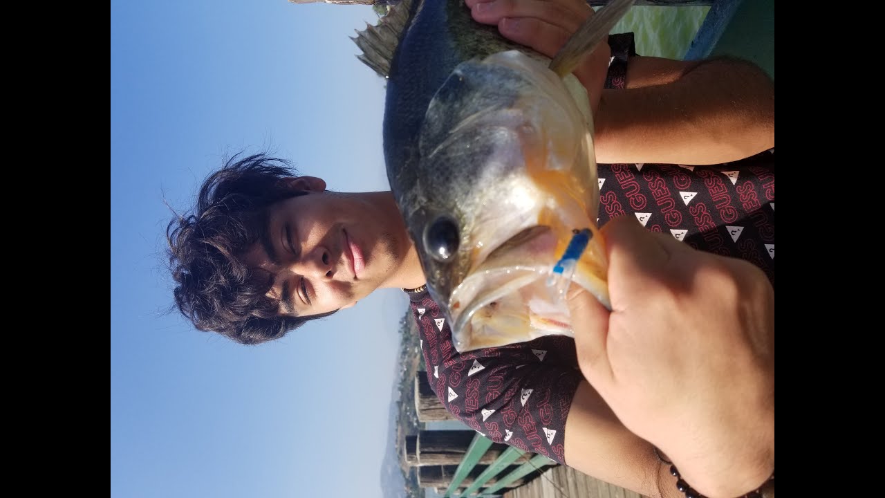 Fishing Original Floating Minnow Daiwa Emblem S1500 filmed with GoPro Hero 8 Legg Lake 2020 Pandemic