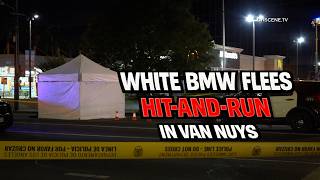 White BMW Flees Hit-And-Run In Van Nuys