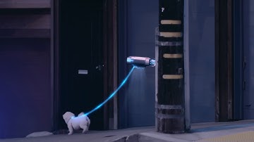 The F 015 Luxury in Motion spot “Dogwalker”. Happy Back to the Future Day - Mercedes-Benz original