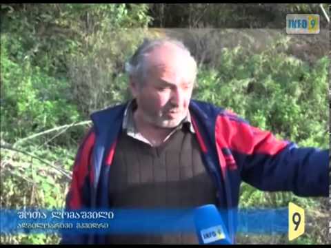 დაკეტილი გზა