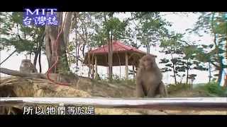 【MIT台灣誌 #396】漫遊尖山埤水世界 part3