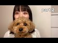 【ばってん少女隊】愛ちゃんと犬ちゃんの戯れ【希山愛】