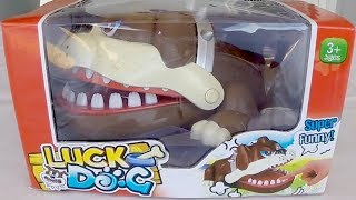 Lucky Dog Game - 2018 Toys screenshot 1