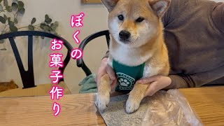 This adorable Shiba Inu is working hard to make his signature